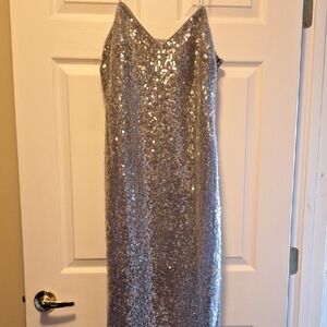Elegant Silver Sequin Dress